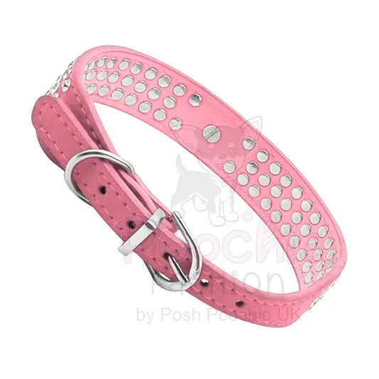 Designer Dog Collars Diamante Dog Collars Poochie Fashion