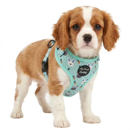 Little Bunnies Dog Harness - Pet Pooch - 2