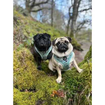 Little Bunnies Dog Harness - Pet Pooch - 8