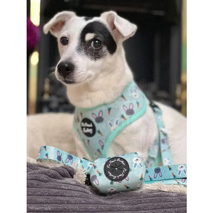 Little Bunnies Dog Harness - Pet Pooch - 3