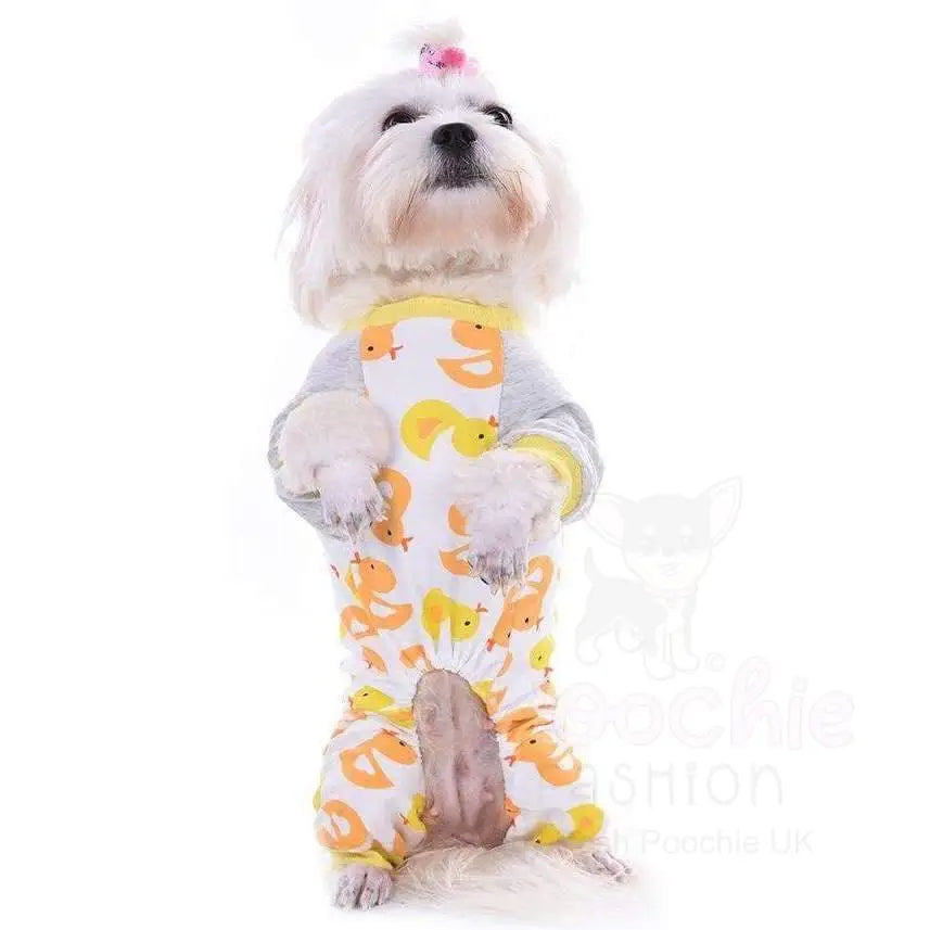 Little Ducky Onesie Dog Pyjamas - Sale - 6