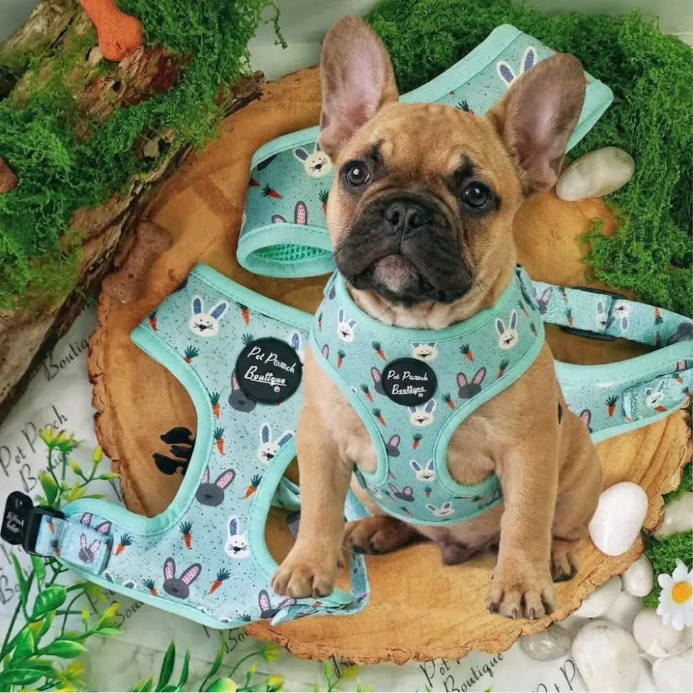 Little Easter Bunnies Dog Harness - Pet Pooch - 3