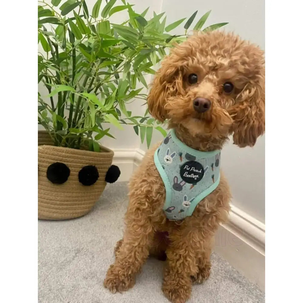 Little Easter Bunnies Dog Harness - Pet Pooch - 6