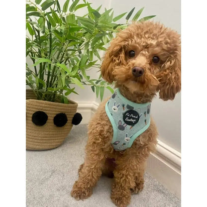 Little Easter Bunnies Dog Harness - Pet Pooch - 6