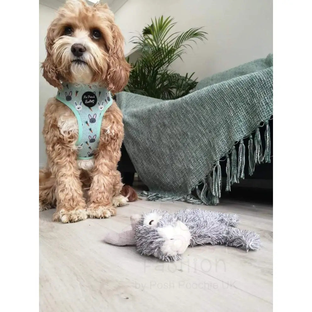 Little Easter Bunnies Dog Harness - Pet Pooch - 5