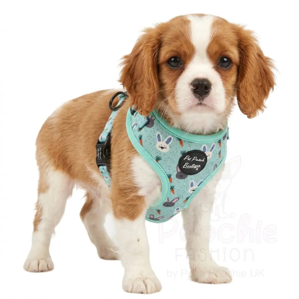 Little Easter Bunnies Dog Harness - Pet Pooch - 2