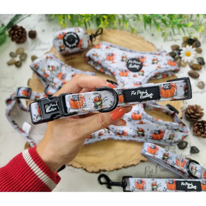 Little Pumpkin Bear Dog Collar - Pet Pooch - 1