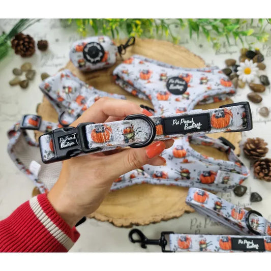 Little Pumpkin Bear Dog Collar - Pet Pooch - 1
