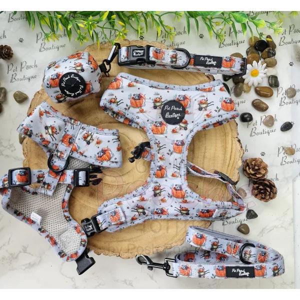Little Pumpkin Bear Dog Collar - Pet Pooch - 4