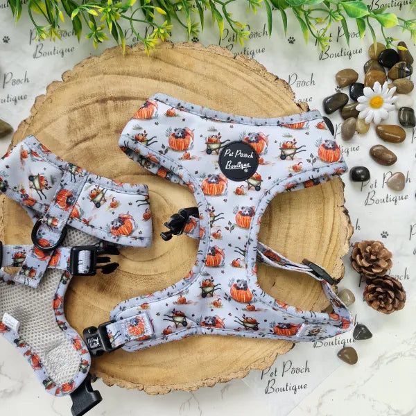 Little Pumpkin Bear Dog Harness Pet Pooch 1