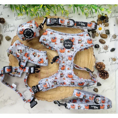 Little Pumpkin Bear Dog Harness Pet Pooch 5