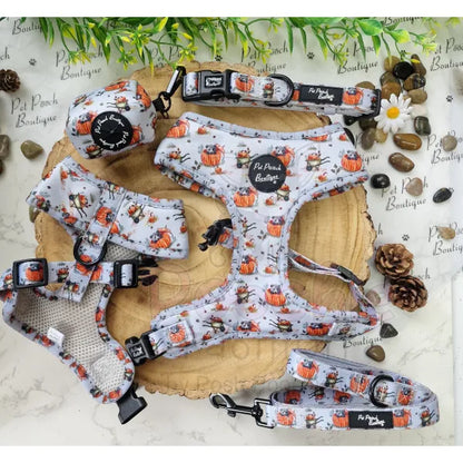 Little Pumpkin Bear Dog Lead Pet Pooch 3