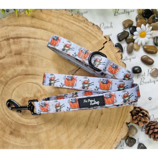 Little Pumpkin Bear Dog Lead Pet Pooch 1