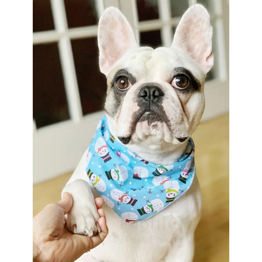 Little Snowman Tie on Dog Bandana - Posh Pawz - 2