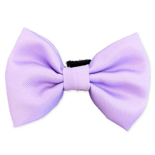 Llac Dog Bow Tie - Piggie - 1