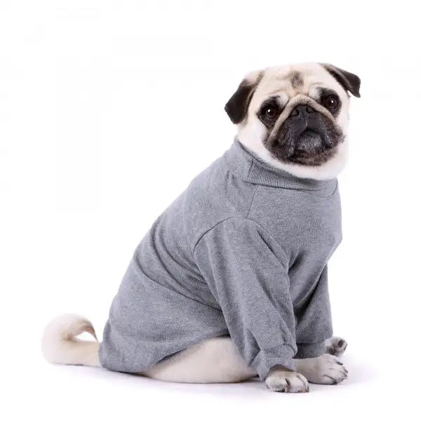 Long Sleeve Ribbed Dog T-shirt Grey - Rich Paw - 1