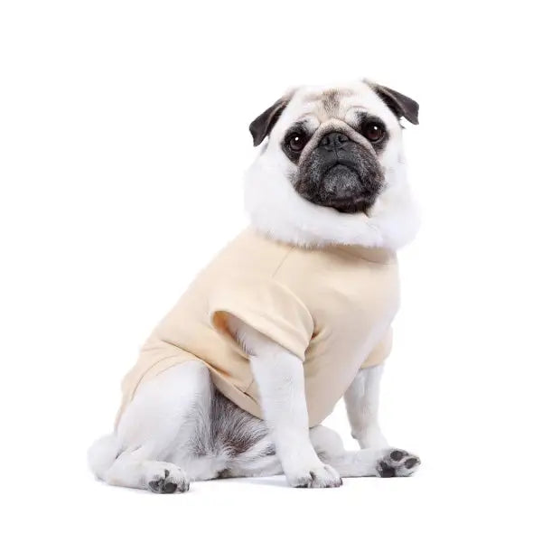 Luxury Cream Dog T-shirt - Rich Paw - 1