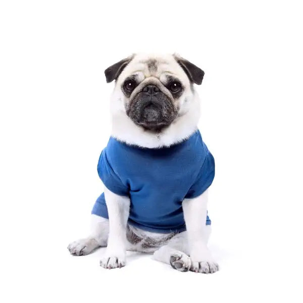 Luxury Deep Blue Dog T-shirt - Rich Paw - 1