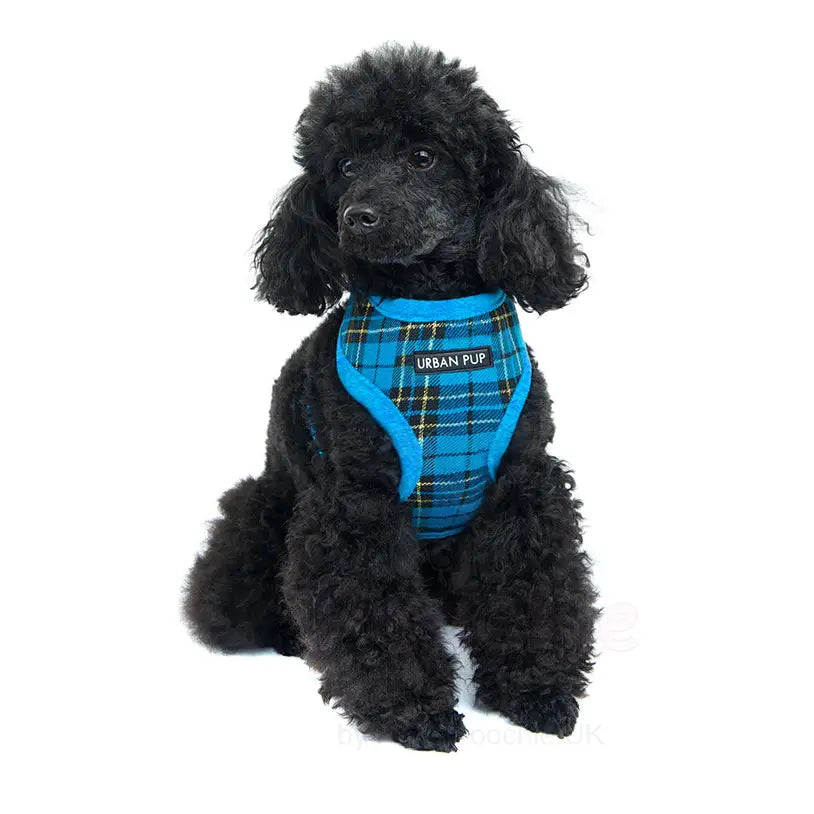 Luxury Fur Lined Blue Tartan Dog Harness - Sale - 2