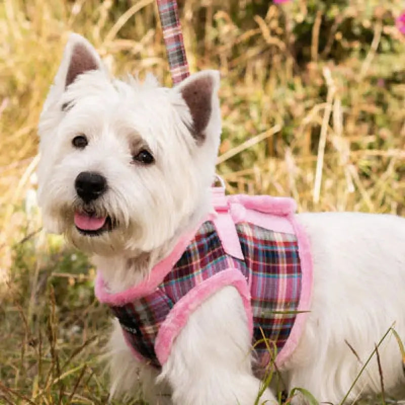 Luxury Fur Lined Pink Tartan Dog Harness - Urban Pup - 3