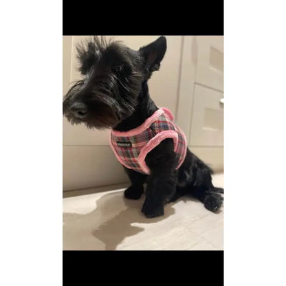 Luxury Fur Lined Pink Tartan Dog Harness - Urban Pup 2