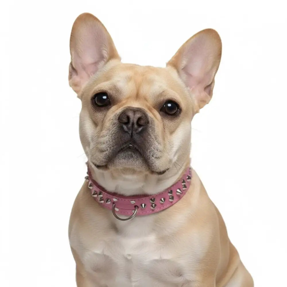Luxury Handcrafted Leather Studded Bull Terrier Dog Collars - Posh Pawz - 4