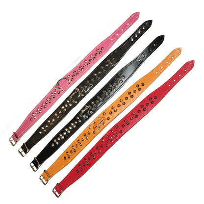 Luxury Handcrafted Leather Studded Bull Terrier Dog Collars - Posh Pawz - 2