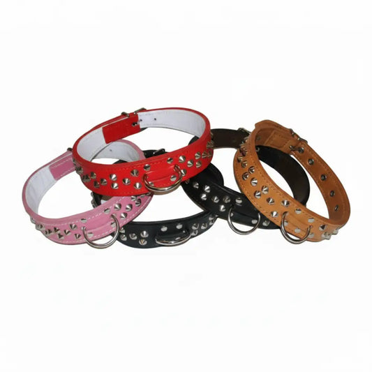 Luxury Handcrafted Leather Studded Bull Terrier Dog Collars - Posh Pawz - 1