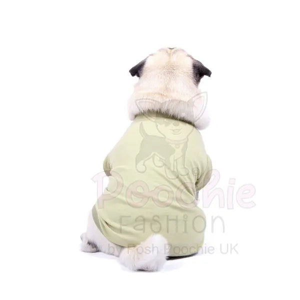 Luxury Khaki Green Dog T-shirt - Rich Paw - 3