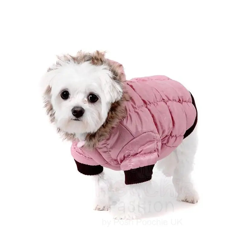 Luxury Pink Quilted Ski Parka Dog Coat