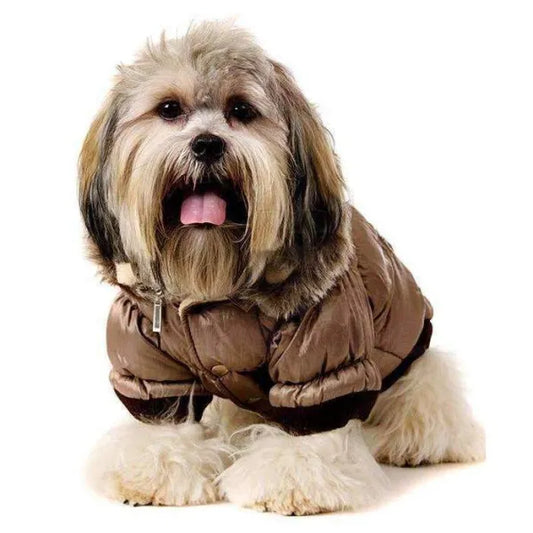 Luxury Quilted Designer Dog Coat with Detachable Hood in Brown - Urban - 2