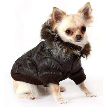 Luxury Quilted Designer Dog Coat with Detachable Hood in Dark Brown - Urban - 2