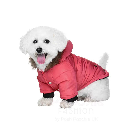 Luxury Salmon Pink Alpine Parka Dog Coat - Posh Pawz - 2