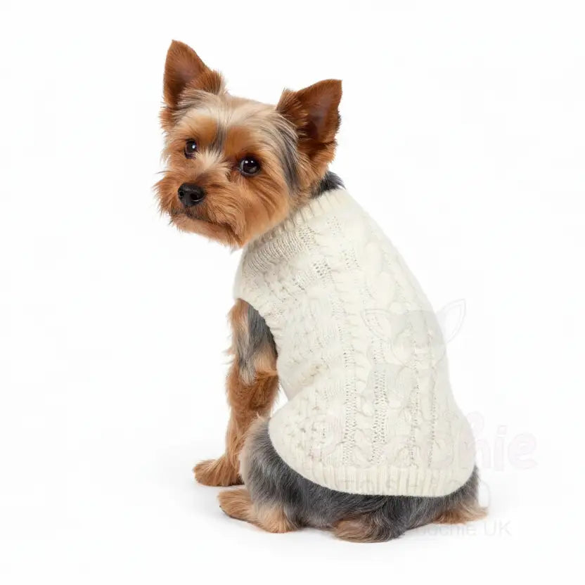 Luxury Supersoft Cable Knit Dog Jumper in Apple White - Rich Paw - 3