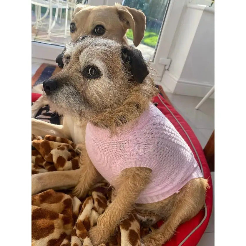 Luxury Supersoft Cable Knit Dog Jumper in Candy Floss Pink - Rich Paw - 5