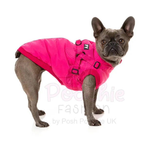 Magenta Flash Dog Harness Jacket by Fuzzyard Size 1 - Sale - 4