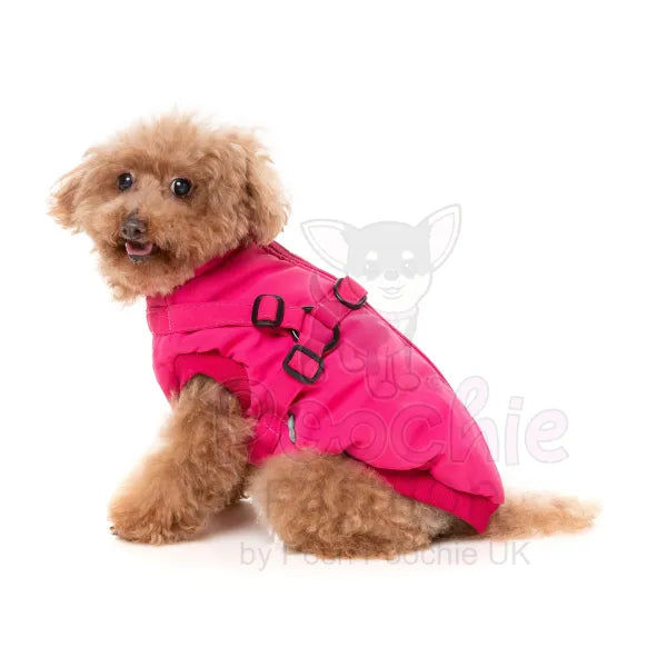 Magenta Flash Dog Harness Jacket by Fuzzyard Size 1 - Sale - 3