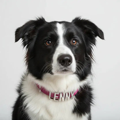 Magenta Pink Waterproof Personalised Dog Collar with Large Chrome Letters - Poochie Fashion - 3