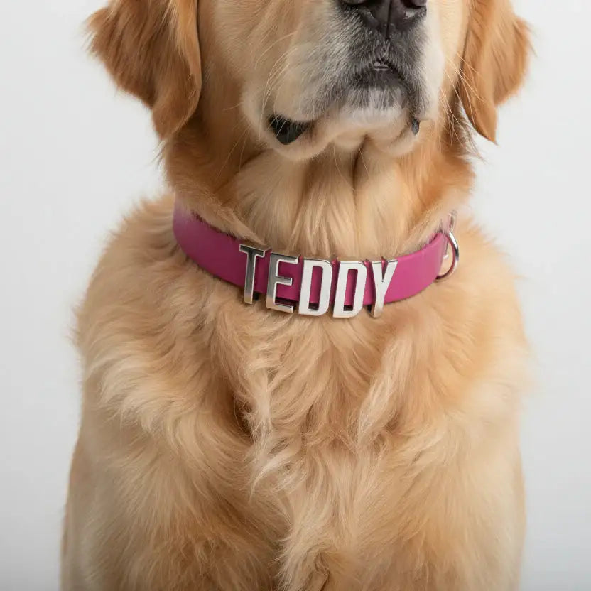 Magenta Pink Waterproof Personalised Dog Collar with Large Chrome Letters - Poochie Fashion - 2