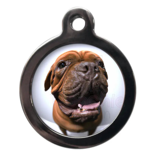 Mastiff Fish Eye Lens Dog Id Tag - Ps Pet Tags - 1