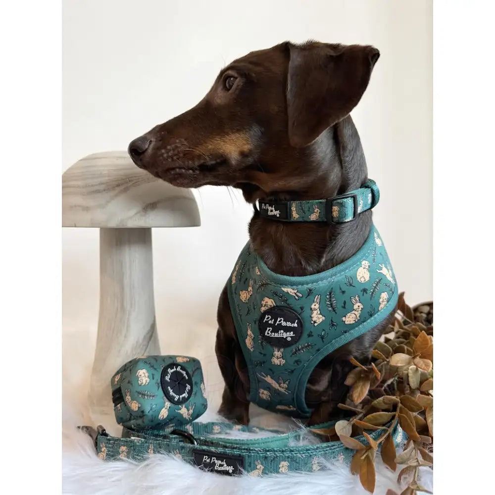 Meadow Bunny Dog Collar - Pet Pooch - 2