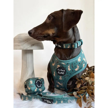 Meadow Bunny Dog Collar - Pet Pooch - 2