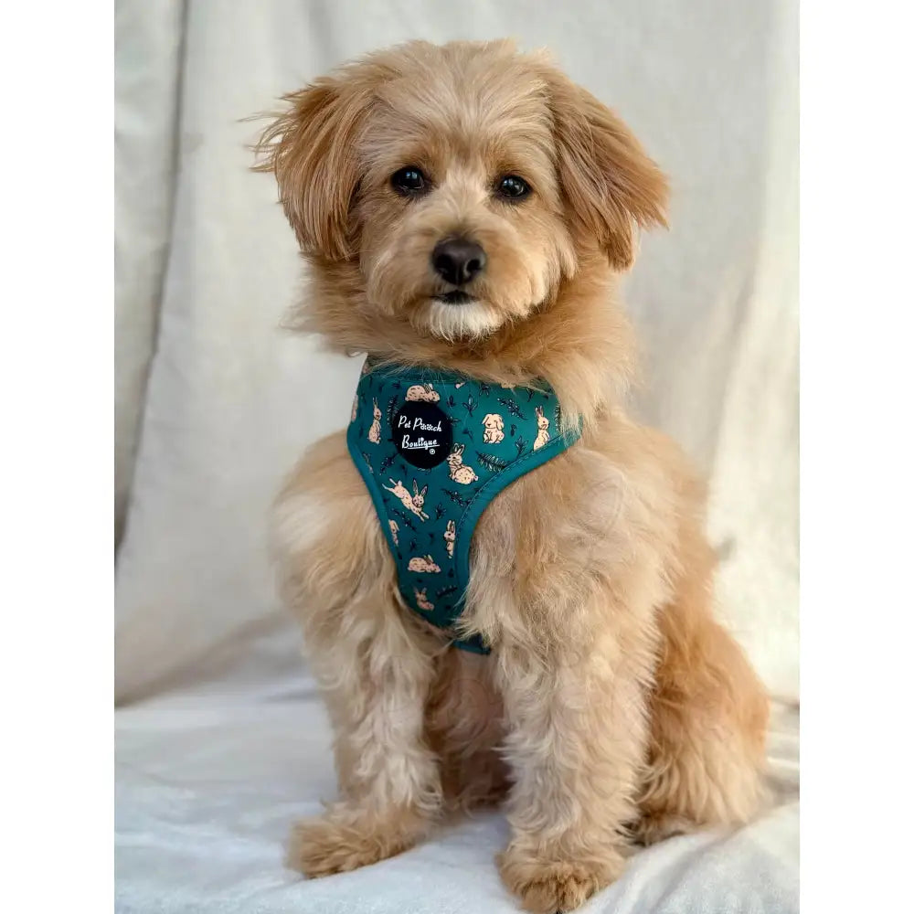 Meadow Bunny Dog Harness - Pet Pooch - 5