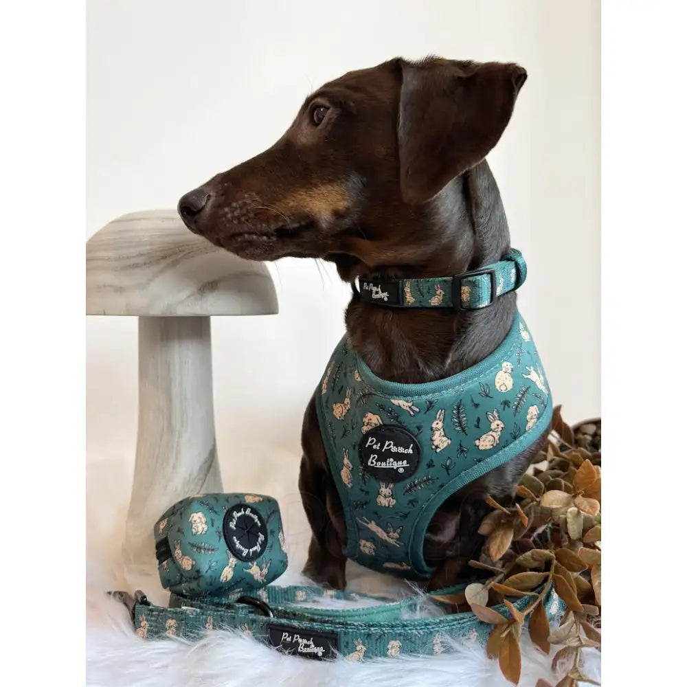 Meadow Bunny Dog Lead - Pet Pooch - 2