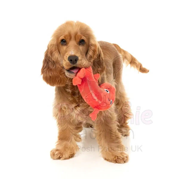 Meat Heads Brad Wurst Dog Toy by Fuzzyard - Fuzzyard - 4