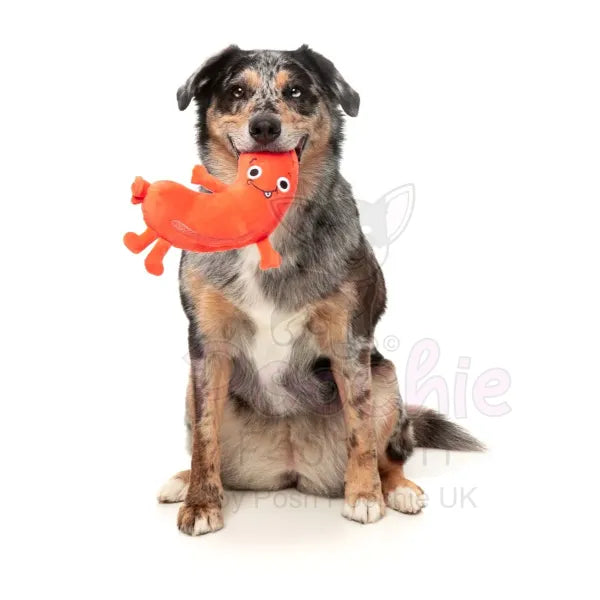 Meat Heads Brad Wurst Dog Toy by Fuzzyard - Fuzzyard - 5