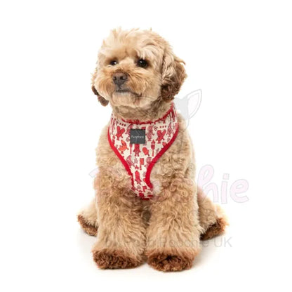 Meat Heads Dog Harness by Fuzzyard - Fuzzyard - 4