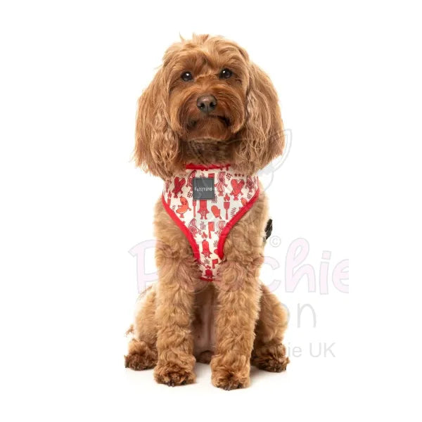 Meat Heads Dog Harness by Fuzzyard - Fuzzyard - 2