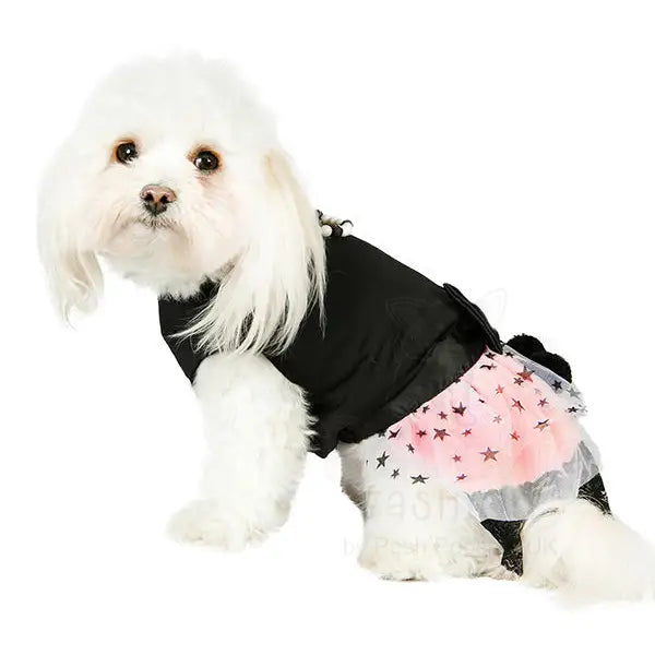 Midnight Stars Dog Dress Xs - Sale - 2