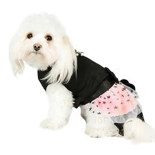 Midnight Stars Dog Dress Xs - Sale - 2